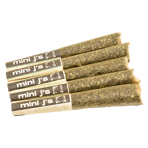 Violet Tourist - Infused Mini J's Tropical Pack