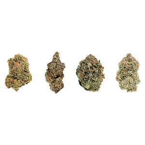 1964 - Mix N Match Variety Pack Lto