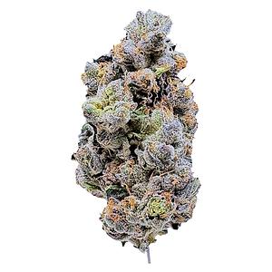 LaHoja - Platinum Blue Gellati