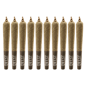 Qwest 35's - Crash Glow Pre Roll