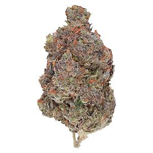 Pistol and Paris - Diablo