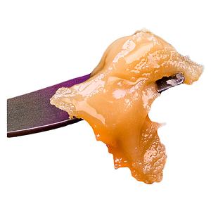 Sauce Rosin Labs - Live Rosin Seasonal Gas Pack