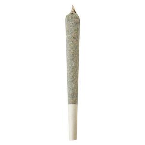 Shed Boys - Sugar Shed Double Infused Pre Roll