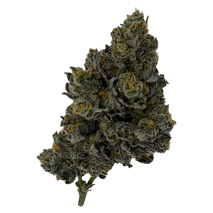 Rocket Factory - Exotic Matter