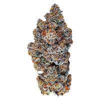 Tenzo - Espresso Gelato