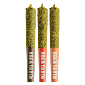 Back Forty - Kief Coated Taster Pack Infused Pre Roll