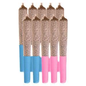 Station House - Pre Roll Variety Pack