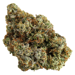 Northern Canna - Permanent Marker