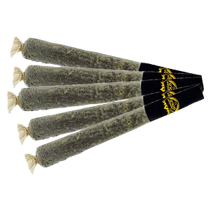 Caviar Gold - BABY CAVIS APPLE DRIP Infused Pre-Roll