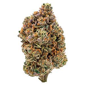 Payless - Sativa