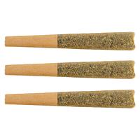 The Loud Plug - Key West Lime Infused Pre Roll