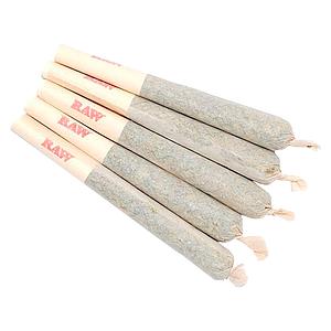 Sixty Seven Sins - Gary Satan Pre-Roll