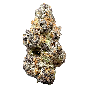 Space Bros - Tropic Fuel