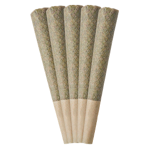 Tribal - Bubble Up Pre Roll